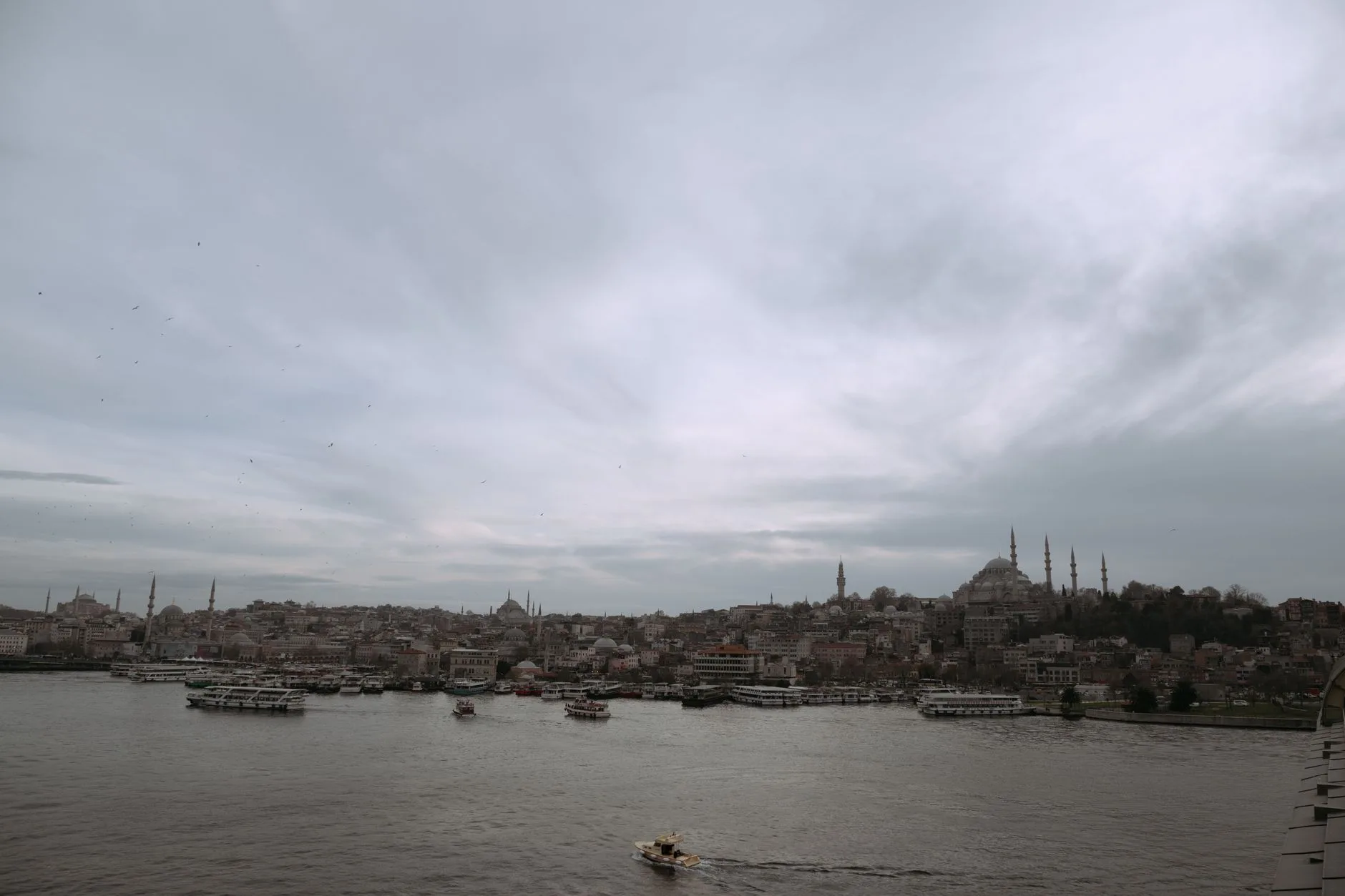 Vue sur Istanbul, ses mosquées et le Bosphore